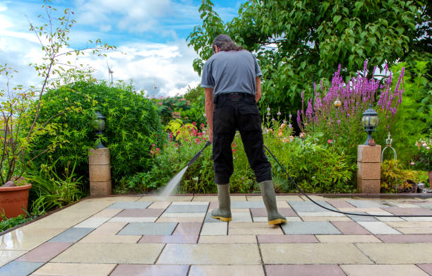 Best Sidewalk and Walkway Cleaning  in Mont Belvieu, TX
